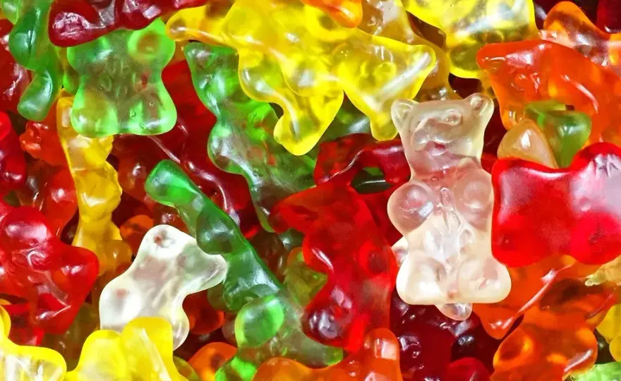Gdzie kupić Haribo sugar free? Sprawdź najlepsze sklepy online