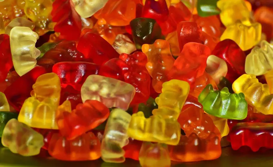 Gdzie kupić żelki Haribo bez cukru? Sprawdź najlepsze oferty